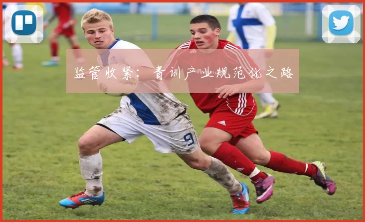 监管收紧：青训产业规范化之路