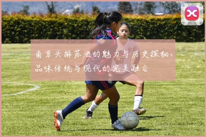 南京头排苏酒的魅力与历史探秘，品味传统与现代的完美融合