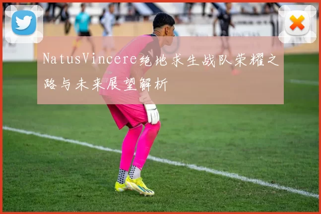 NatusVincere绝地求生战队荣耀之路与未来展望解析